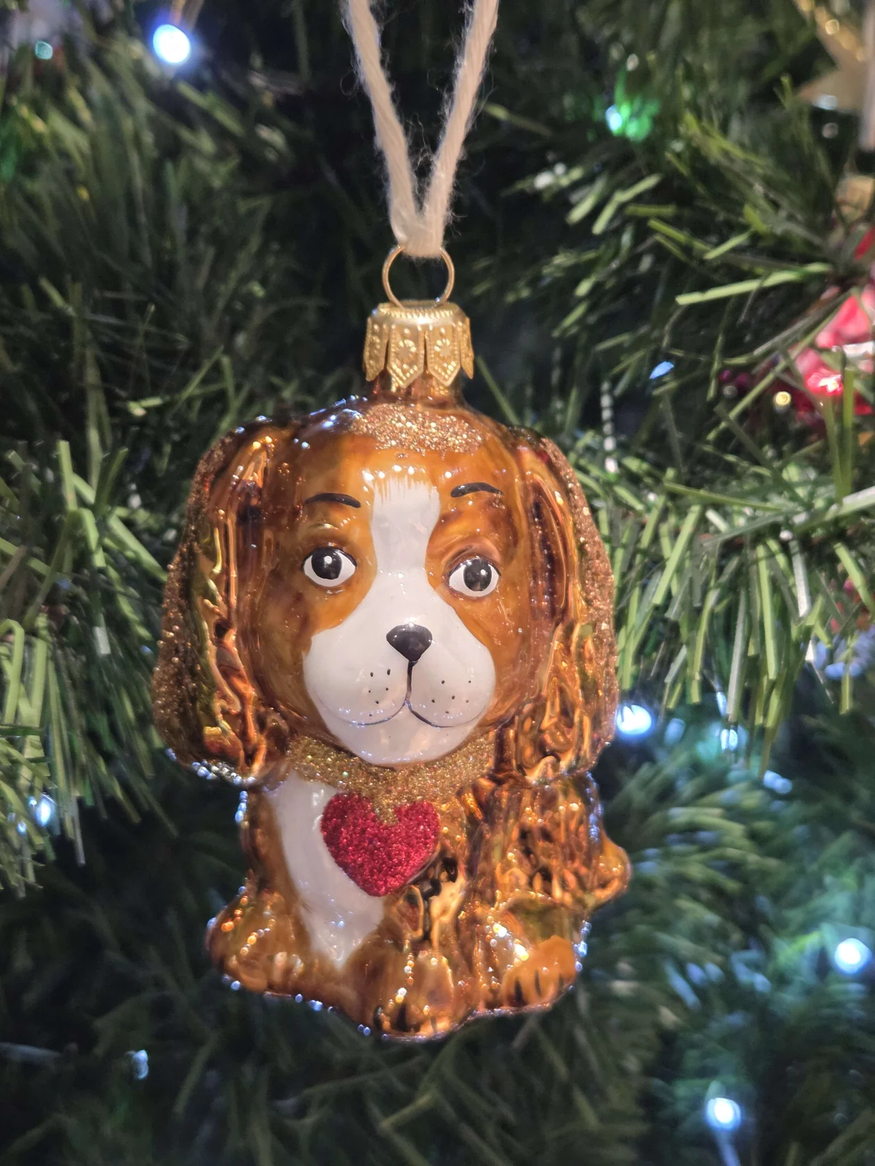 fdeb0cc523b609d12eb065f6b65b2891